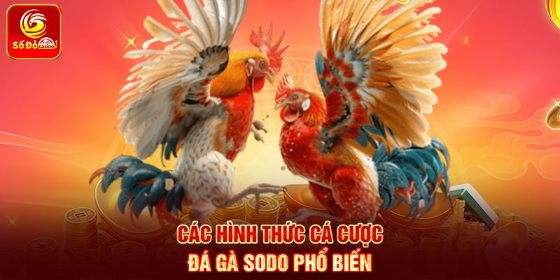 Các hình thức Cá Cược Đá Gà Sodo phổ biến