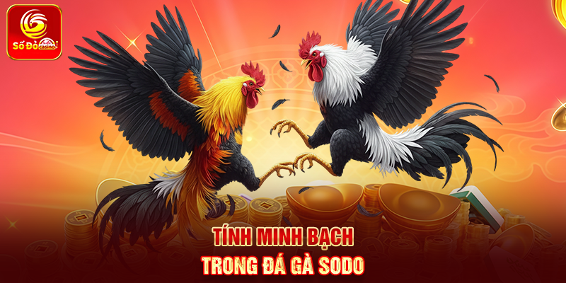 Tính minh bạch trong Đá Gà Sodo