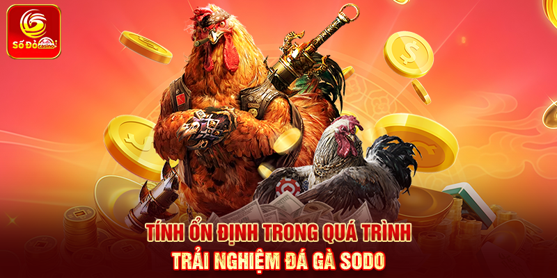 Tính ổn định trong quá trình trải nghiệm Đá Gà Sodo