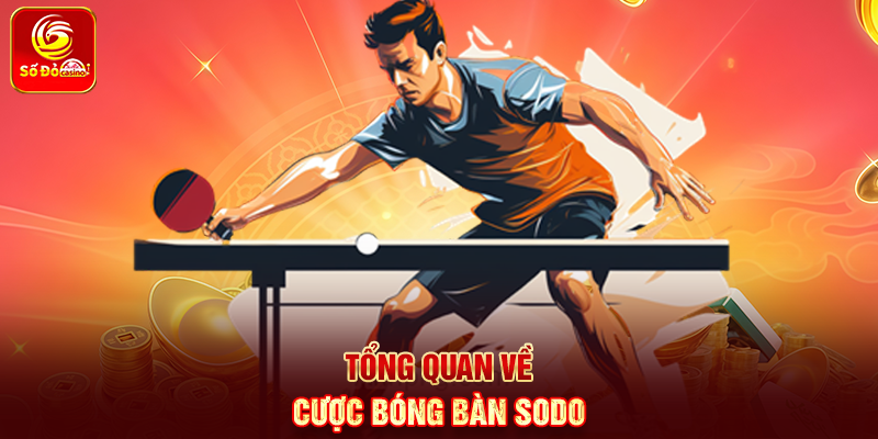 Tổng quan về Cược Bóng Bàn Sodo